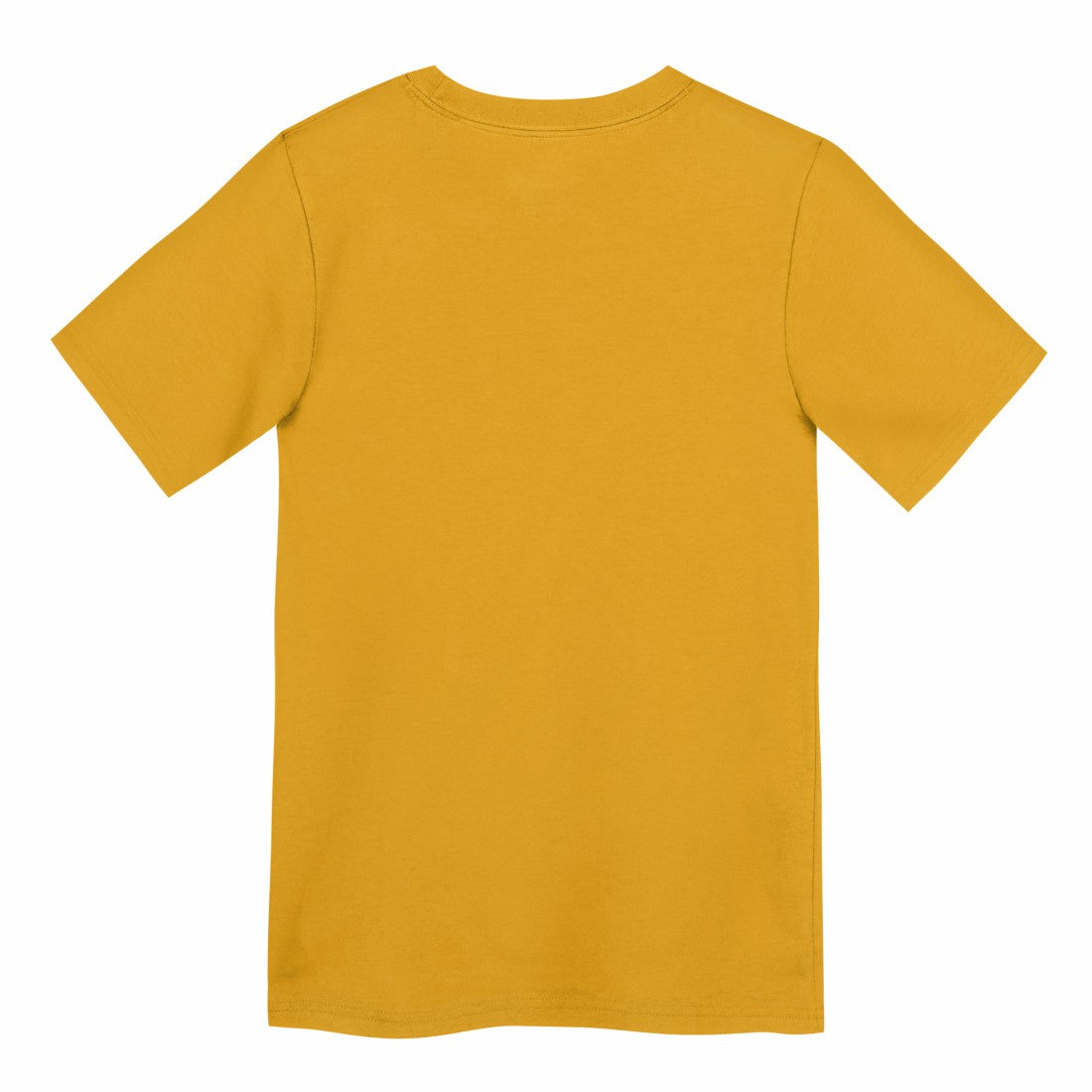 Nike Green Bay Packers Preschool Icon Legend Dri-FIT T-Shirt Gold