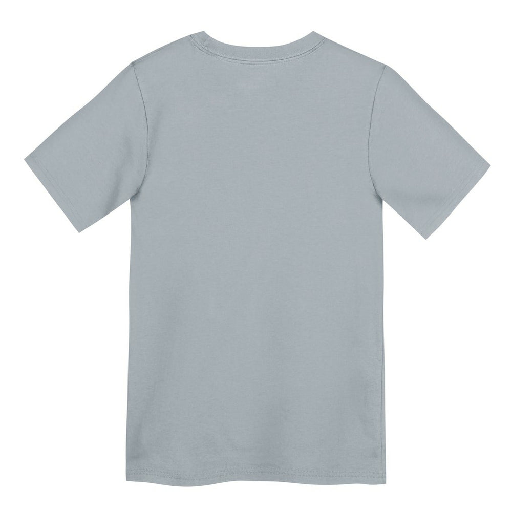 Nike Las Vegas Raiders Preschool Icon Legend Dri-FIT T-Shirt Gray