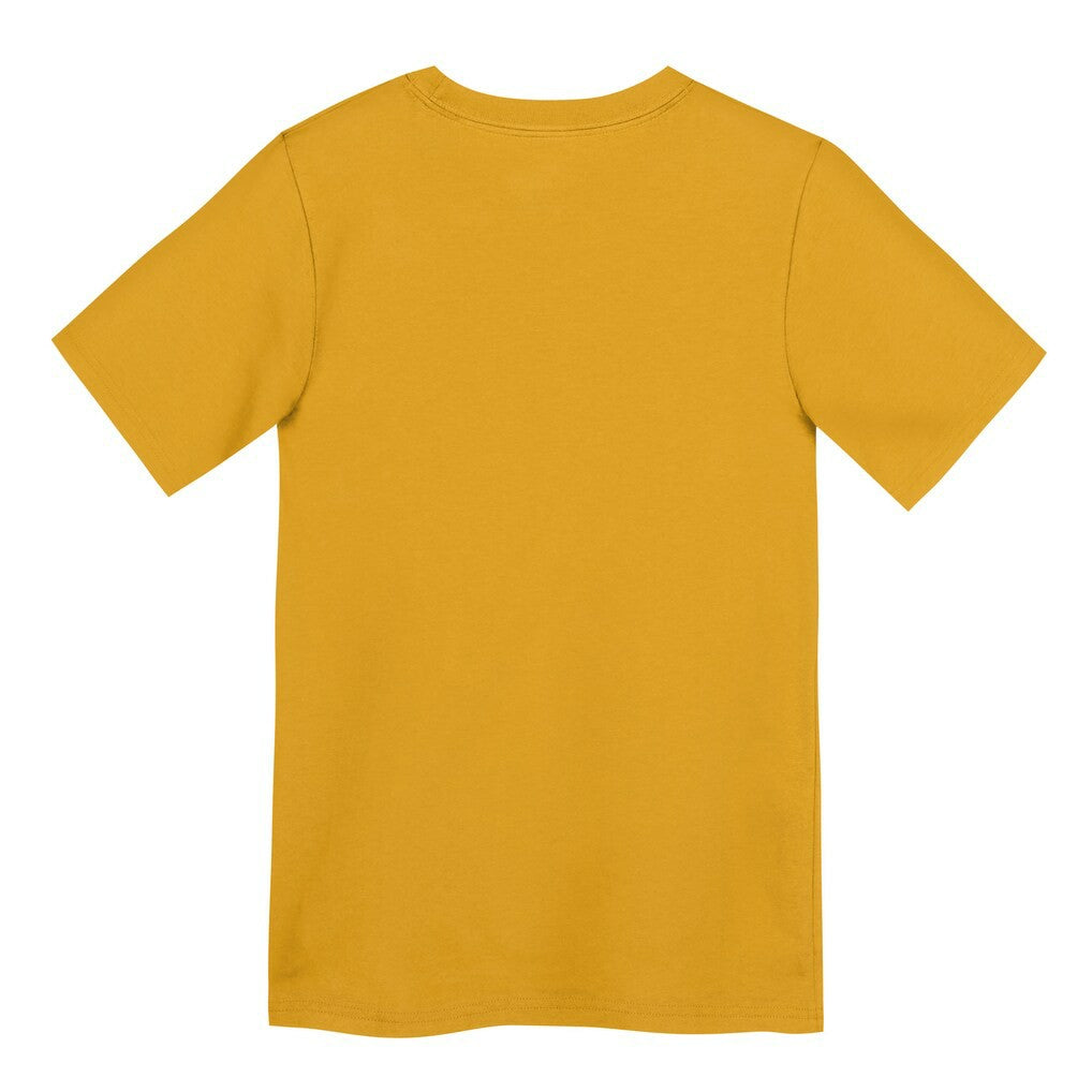 Nike Pittsburgh Steelers Preschool Icon Legend Dri-FIT T-Shirt Gold