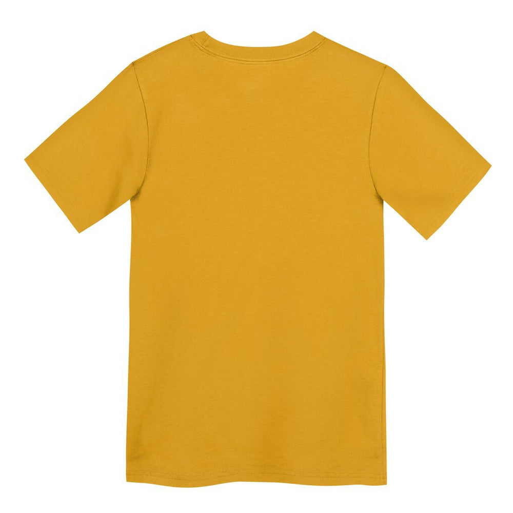 Nike Pittsburgh Steelers Preschool Icon Legend Dri-FIT T-Shirt Gold