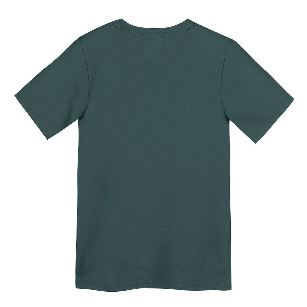 Nike Philadelphia Eagles Preschool Primary Logo Legend Performance T-Shirt Green