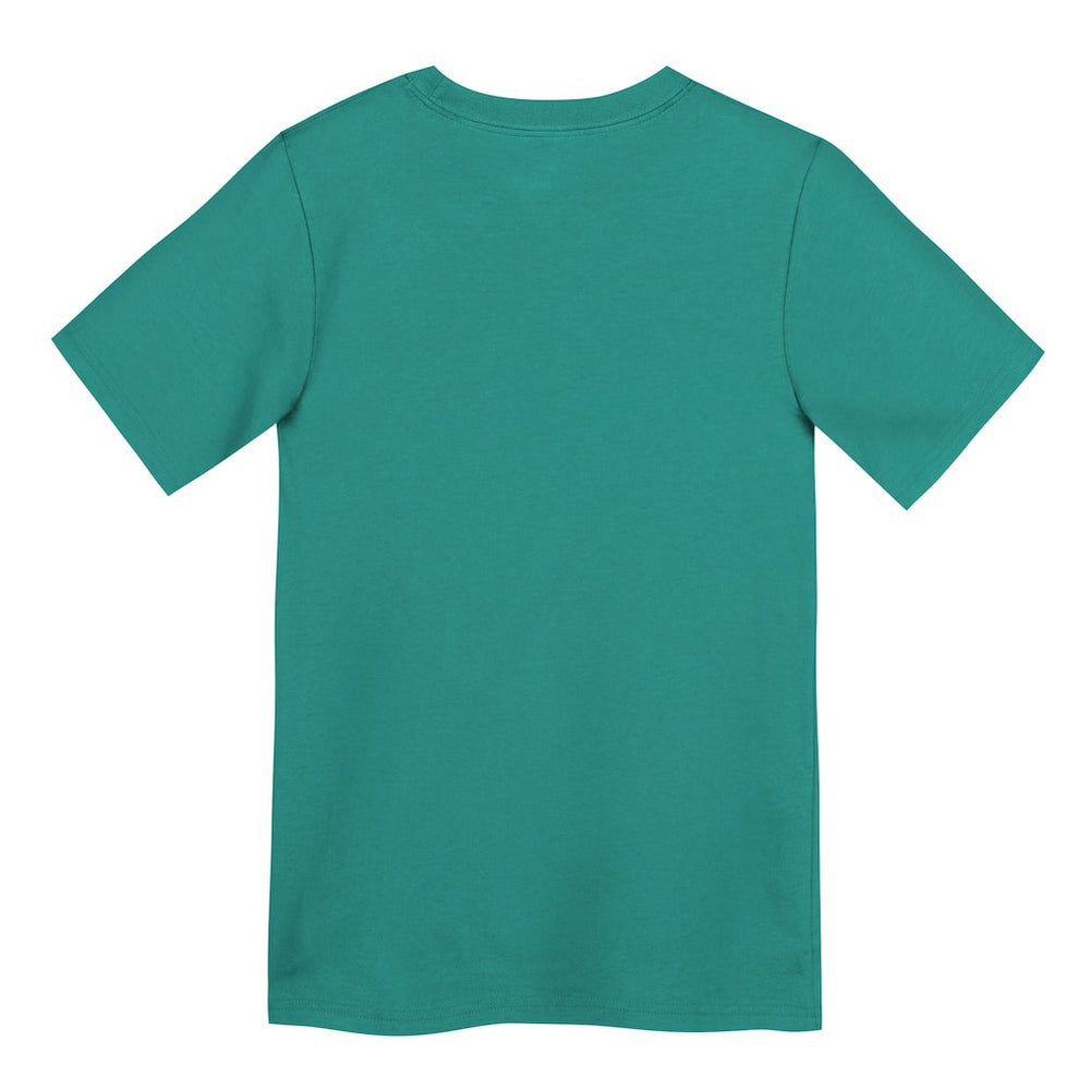 Nike Miami Dolphins Preschool Primary Logo Legend Performance T-Shirt Aqua
