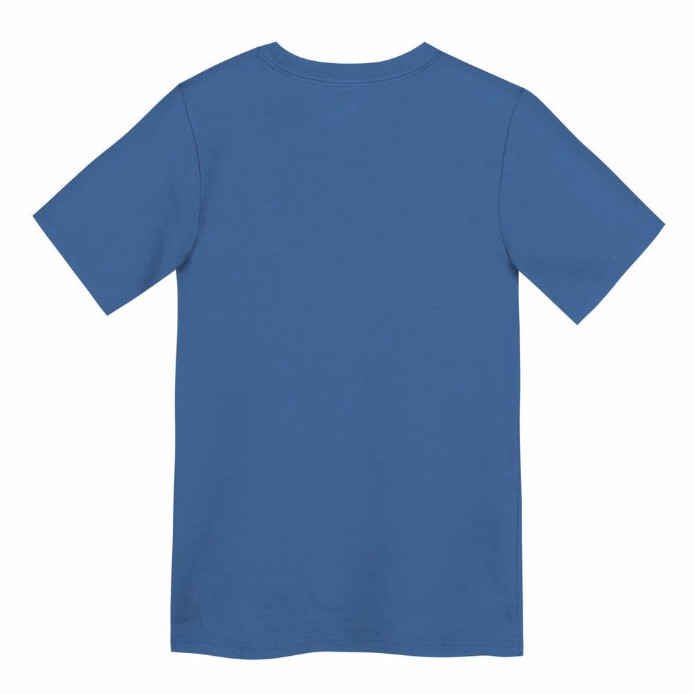 Nike Detroit Lions Preschool Primary Logo Legend Performance T-Shirt Blue