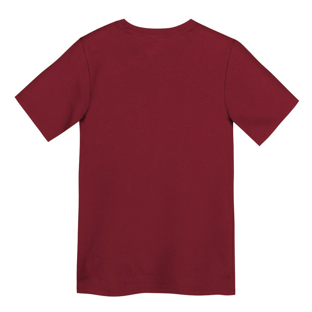 Nike San Francisco 49ers Preschool Primary Logo Legend Performance T-Shirt Scarlet
