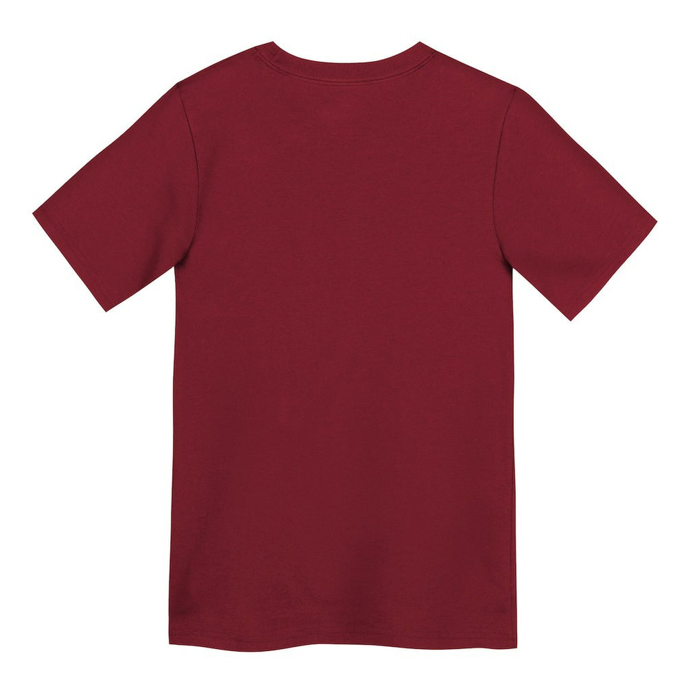 Nike San Francisco 49ers Preschool Primary Logo Legend Performance T-Shirt Scarlet