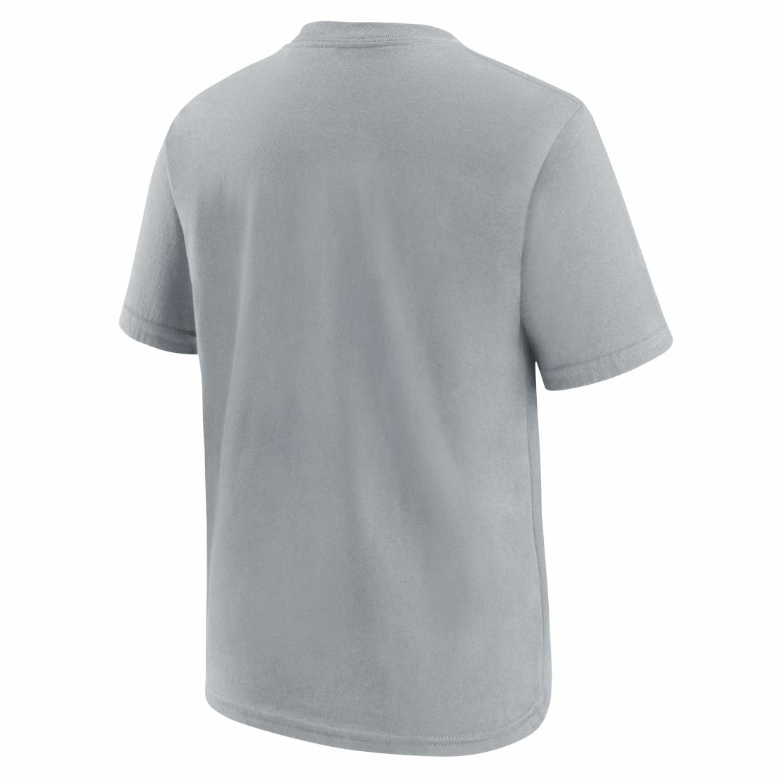 Nike Detroit Lions Youth Icon Legend T-Shirt Gray