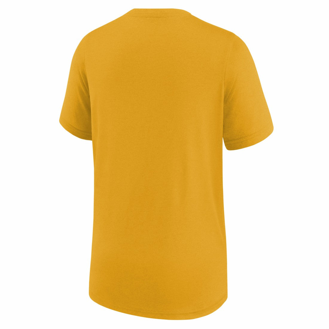 Nike Green Bay Packers Youth Icon Legend T-Shirt Gold