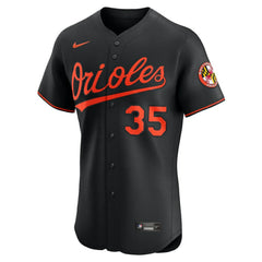 Adley Rutschman Baltimore Orioles Nike Alternate Elite Jersey - Black - Nike Lifestyle