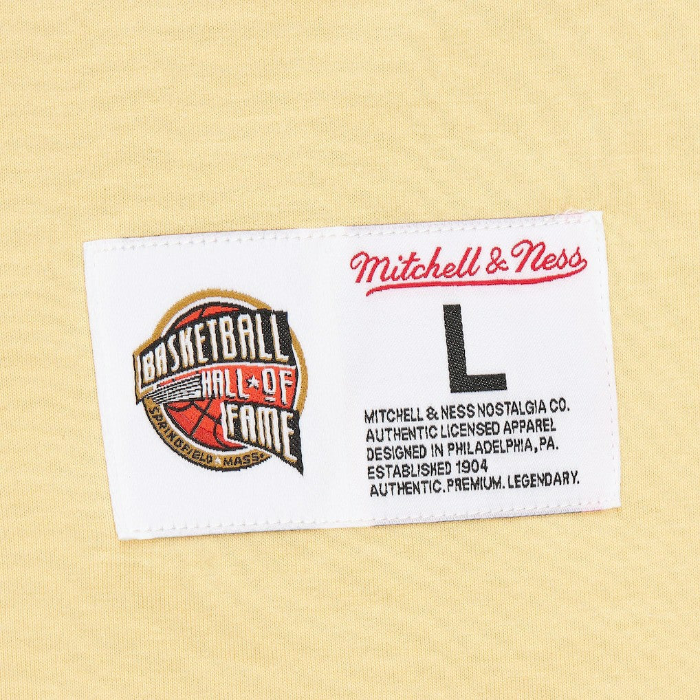 Vince Carter Toronto Raptors Premium T-Shirt Cream | Mitchell & Ness outlet