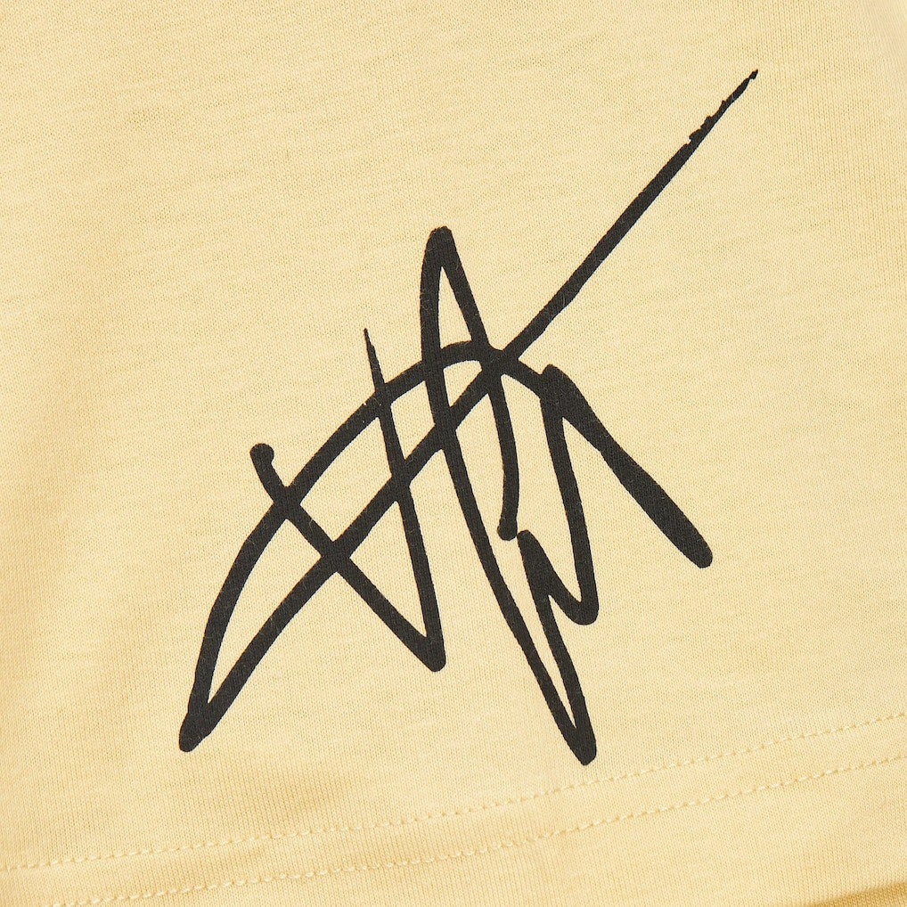 Vince Carter Toronto Raptors Premium T-Shirt Cream | Mitchell & Ness outlet