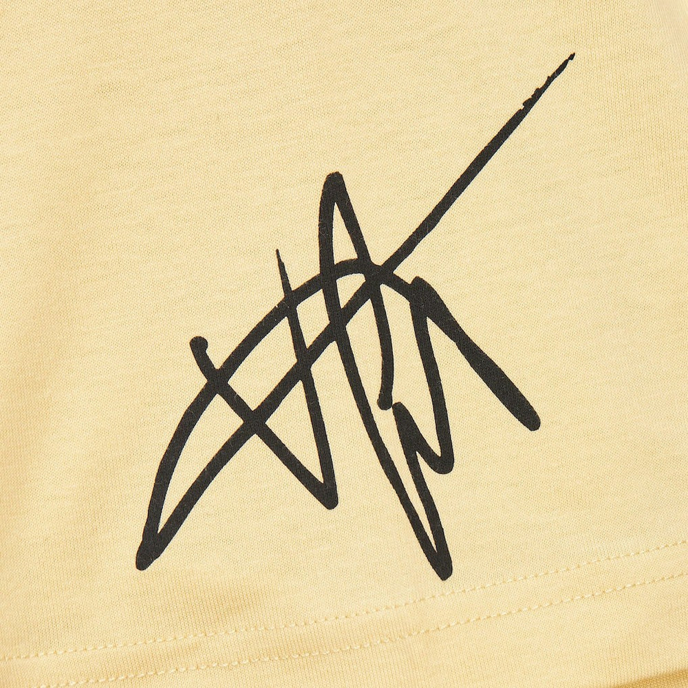 Vince Carter Toronto Raptors Premium T-Shirt Cream | Mitchell & Ness outlet