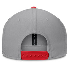 St. Louis Cardinals Fanatics Punchout Snapback Hat - Gray - Fanatics Discount