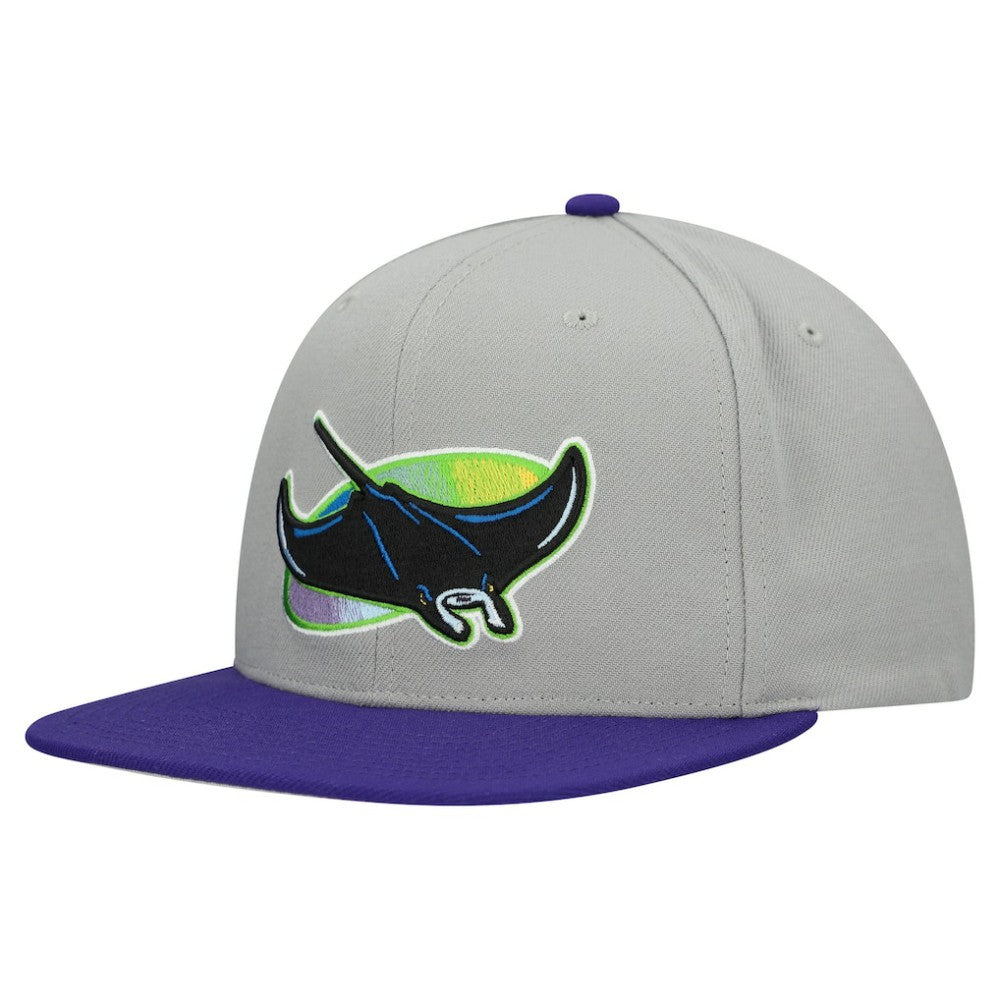 Tampa Bay Rays Mitchell & Ness Cooperstown Collection Basic Flip Snapback Hat - Gray - Mitchell & Ness Discount