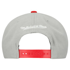 Boston Red Sox Mitchell & Ness Cooperstown Collection Basic Flip Snapback Hat - Gray - Mitchell & Ness on Sale