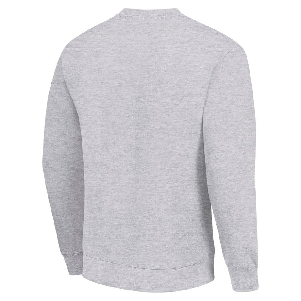 Florida Panthers Men's Starter Team Logo Fleece Pullover Sweatshirt - Heather Gray - NHL 202601570