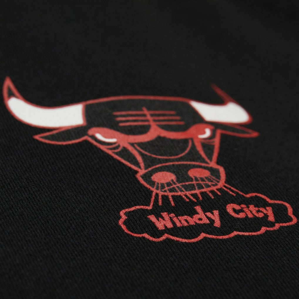 Chicago Bulls NBA x Michelob Ultra Swish & Sip Pullover Hoodie Black | Mitchell & Ness Near Me