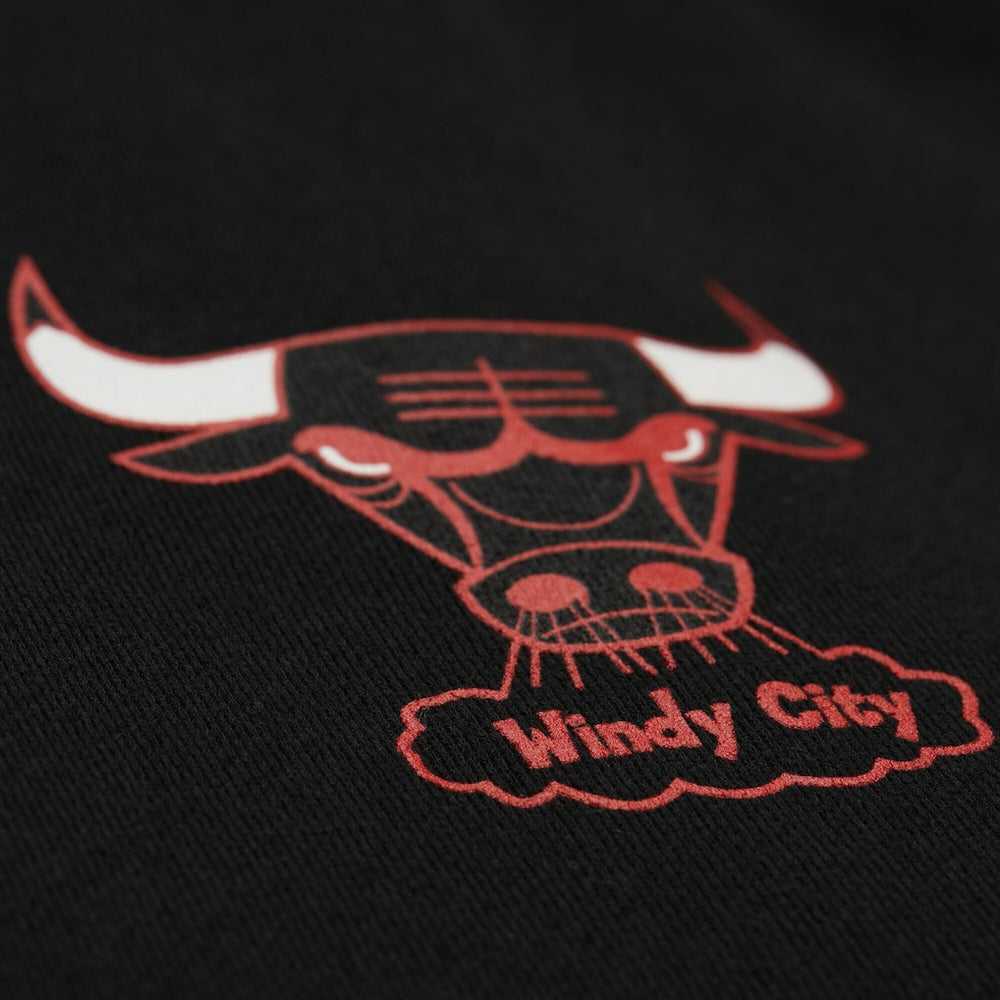 Chicago Bulls NBA x Michelob Ultra Swish & Sip Pullover Hoodie Black | Mitchell & Ness Near Me