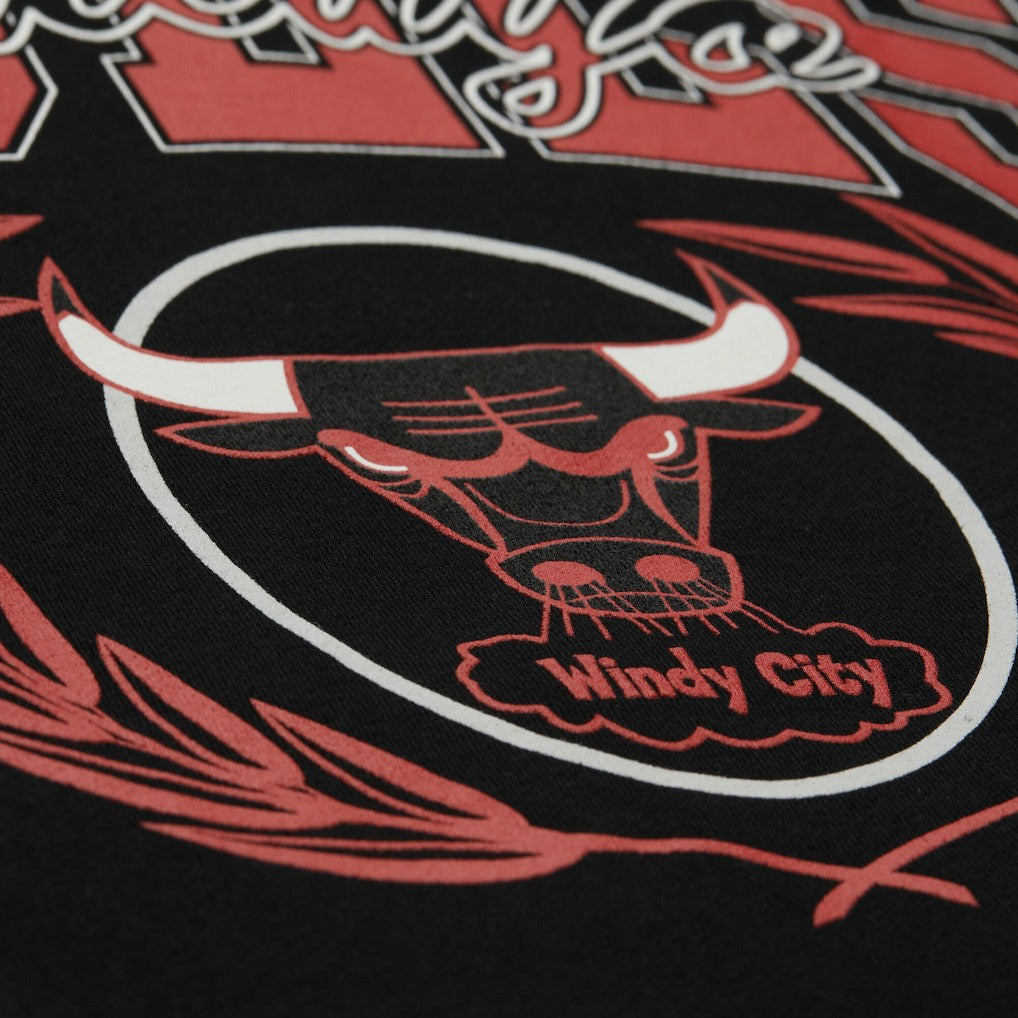 Chicago Bulls NBA x Michelob Ultra Swish & Sip Pullover Hoodie Black | Mitchell & Ness Near Me