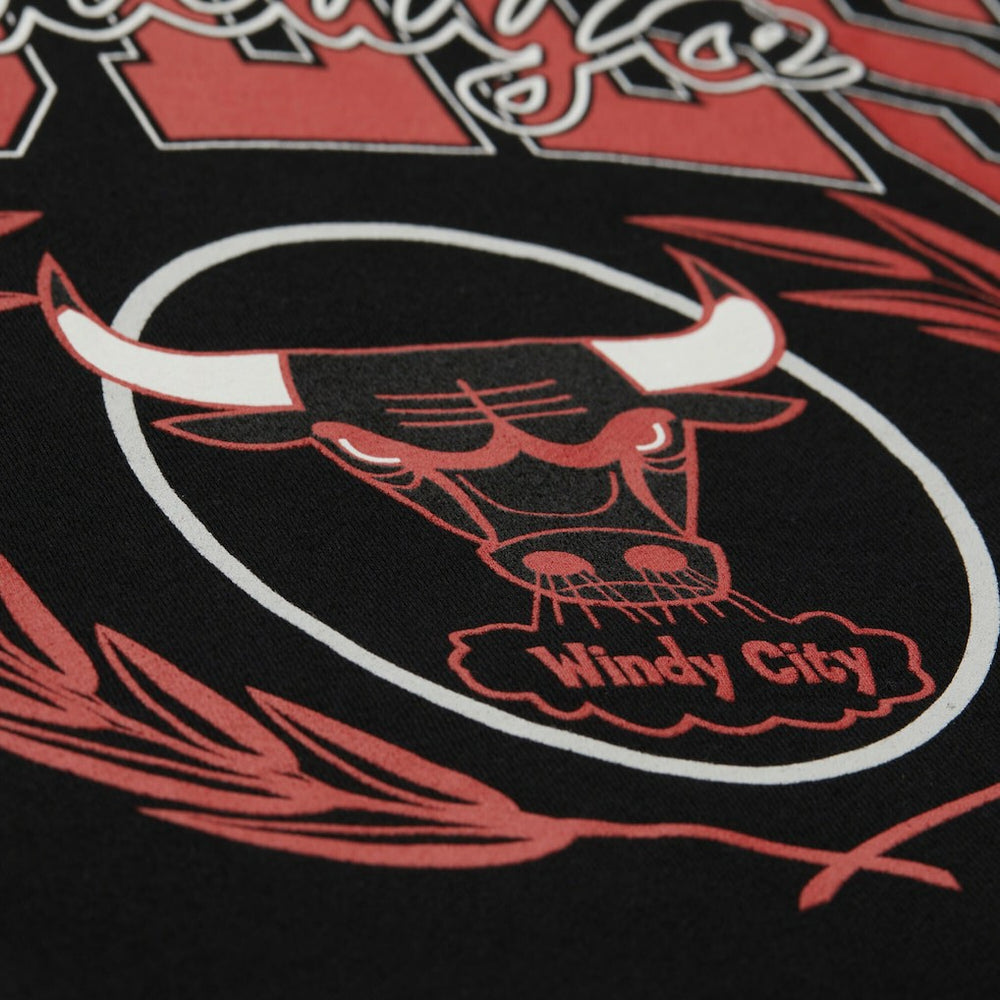 Chicago Bulls NBA x Michelob Ultra Swish & Sip Pullover Hoodie Black | Mitchell & Ness Near Me