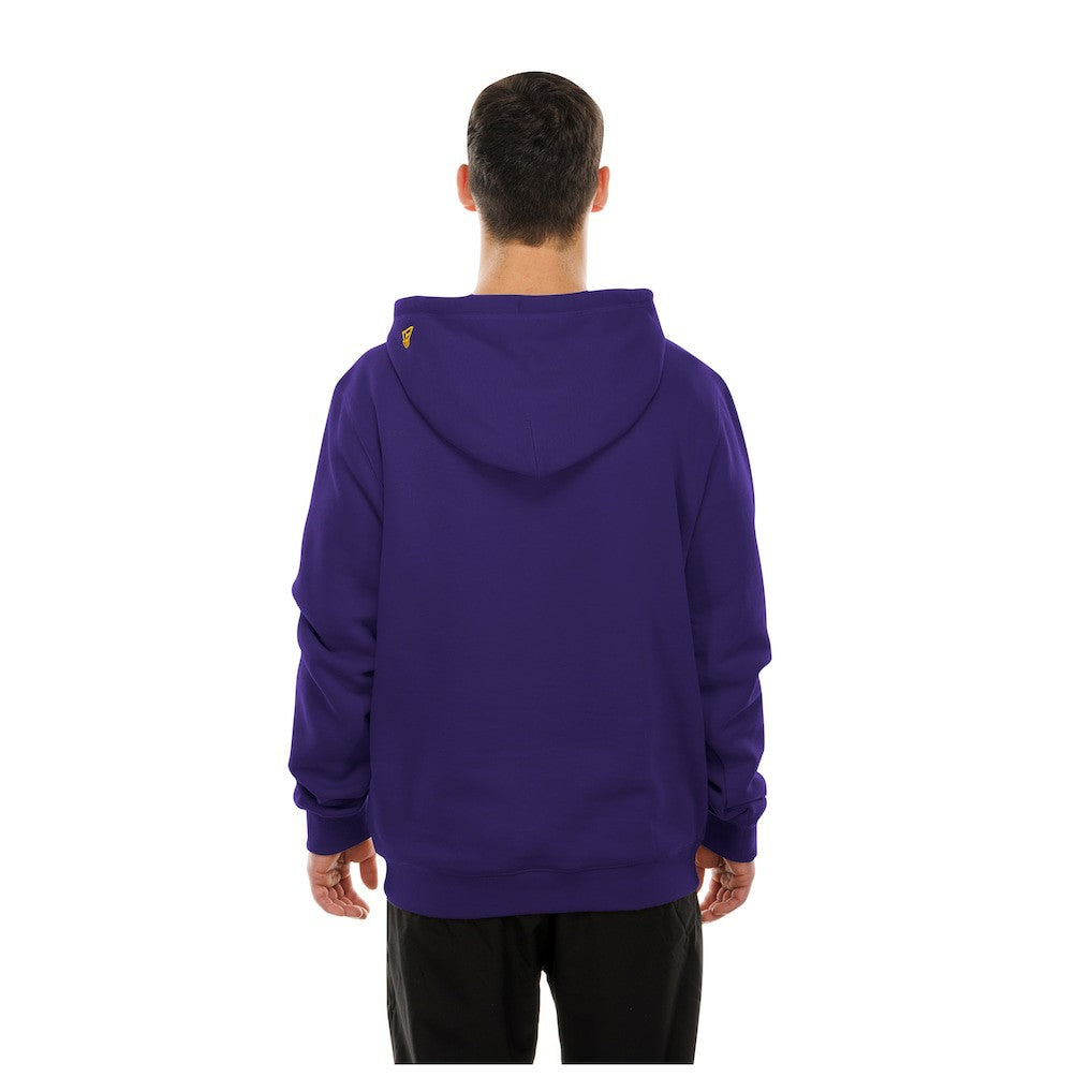 Minnesota Vikings New Era Combine Authentic Local State Throwback Hoodie Purple