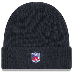 Arizona Cardinals New Era 2025 Sideline Cold Weather Cuffed Knit Hat Charcoal