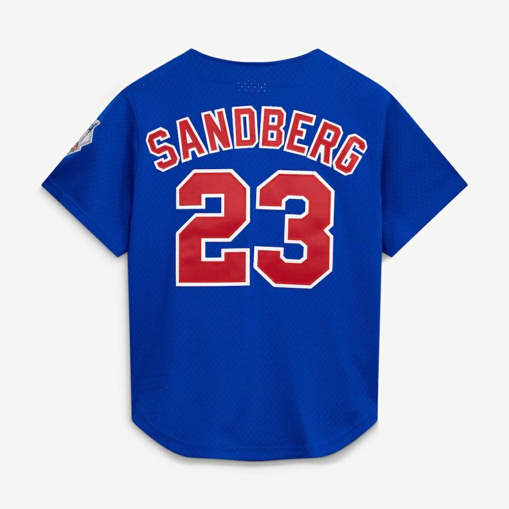 Ryne Sandberg Chicago Cubs Mitchell & Ness Cooperstown Collection 1997 Mesh Batting Practice Button-Up Jersey - Royal - Mitchell & Ness Online