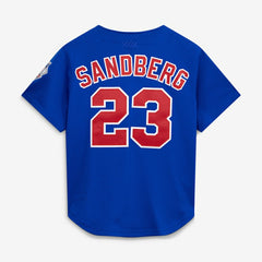 Ryne Sandberg Chicago Cubs Mitchell & Ness Cooperstown Collection 1997 Mesh Batting Practice Button-Up Jersey - Royal - Mitchell & Ness Online