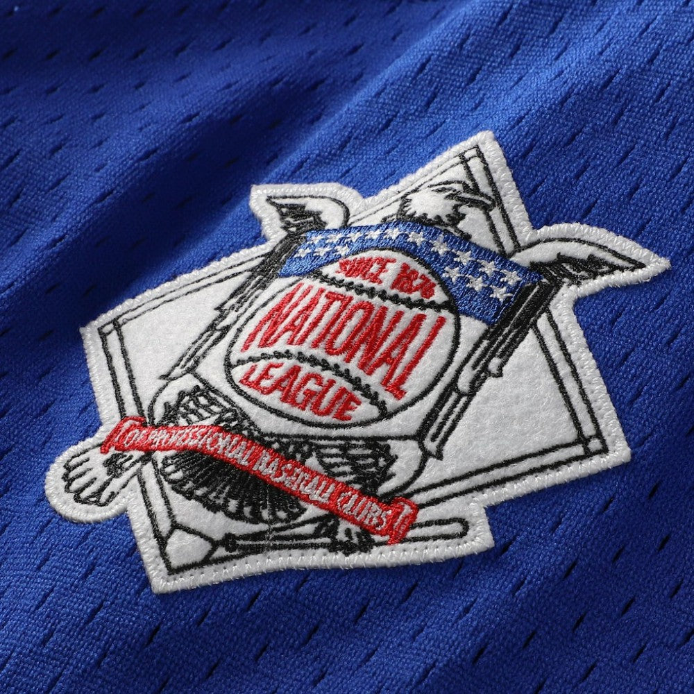Ryne Sandberg Chicago Cubs Mitchell & Ness Cooperstown Collection 1997 Mesh Batting Practice Button-Up Jersey - Royal - Mitchell & Ness Online