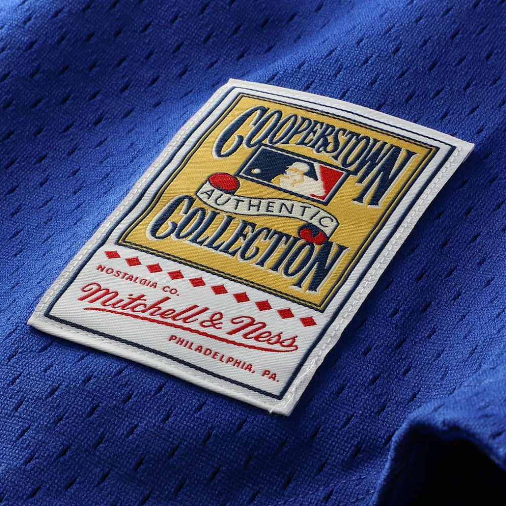 Ryne Sandberg Chicago Cubs Mitchell & Ness Cooperstown Collection 1997 Mesh Batting Practice Button-Up Jersey - Royal - Mitchell & Ness Online