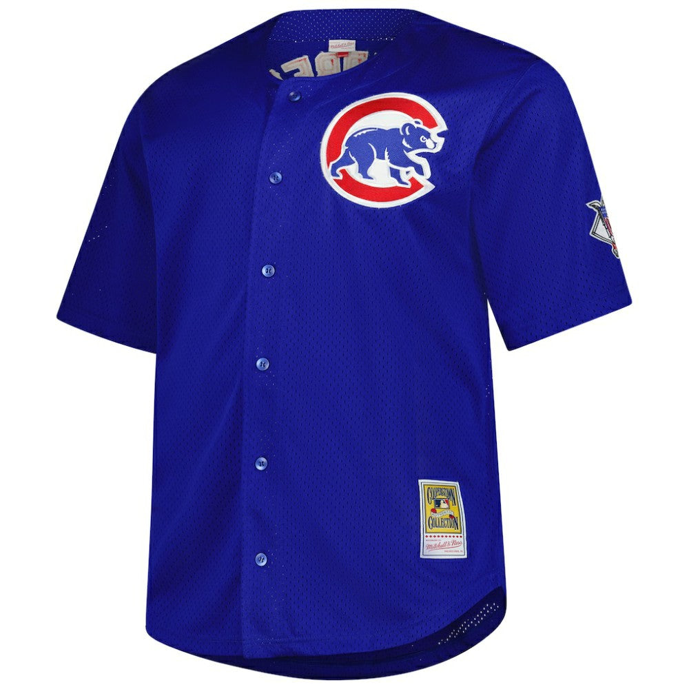 Ryne Sandberg Chicago Cubs Mitchell & Ness Big & Tall Cooperstown Mesh Batting Practice Jersey - Royal - Mitchell & Ness Online