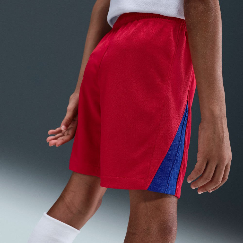 Paris Saint-Germain Youth 2025/26 Dri-FIT Stadium Shorts Red - Nike outlet