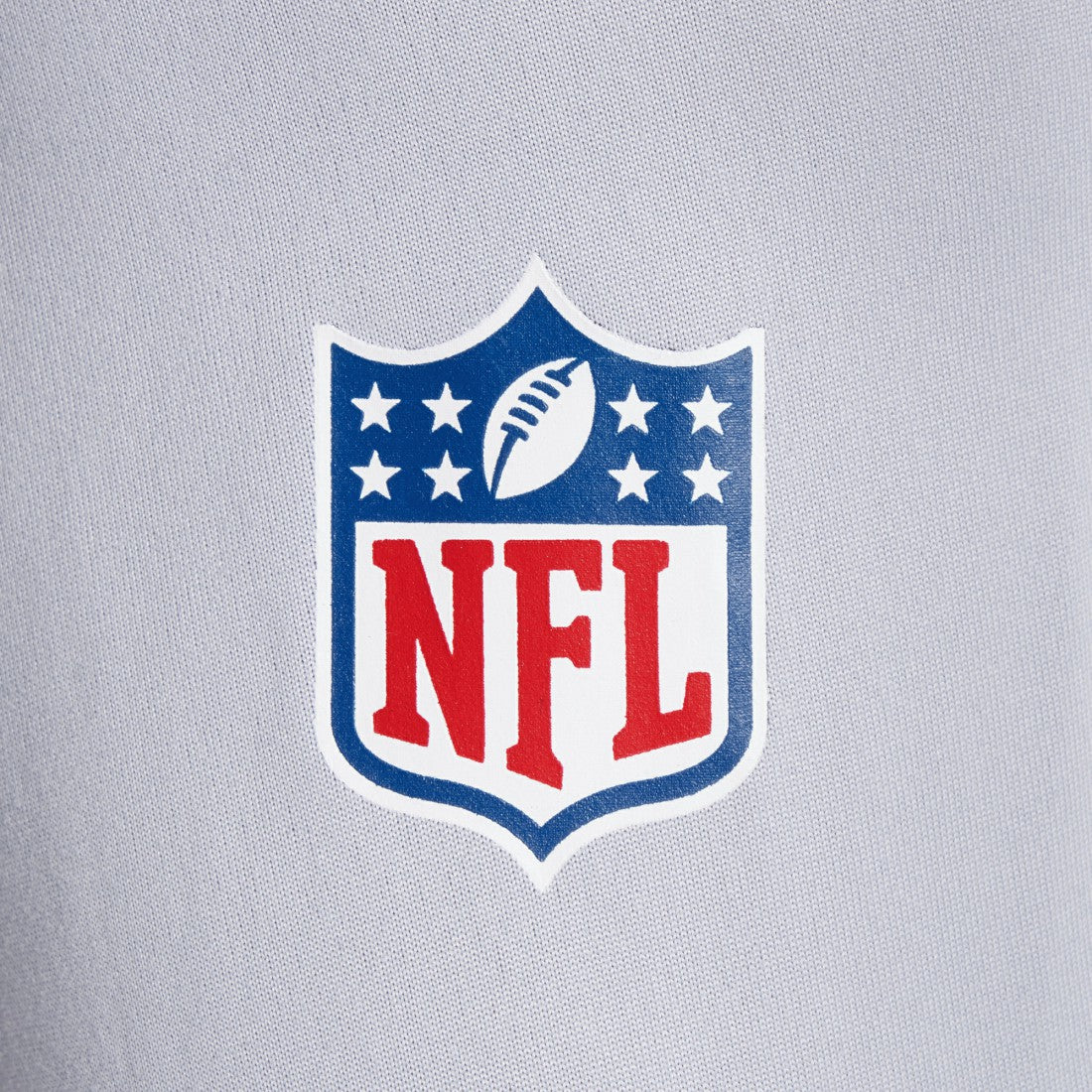 Nike Seattle Seahawks 2025 Rivalries Collection Sideline Legend Dri-FIT Long Sleeve T-Shirt Wolf Gray