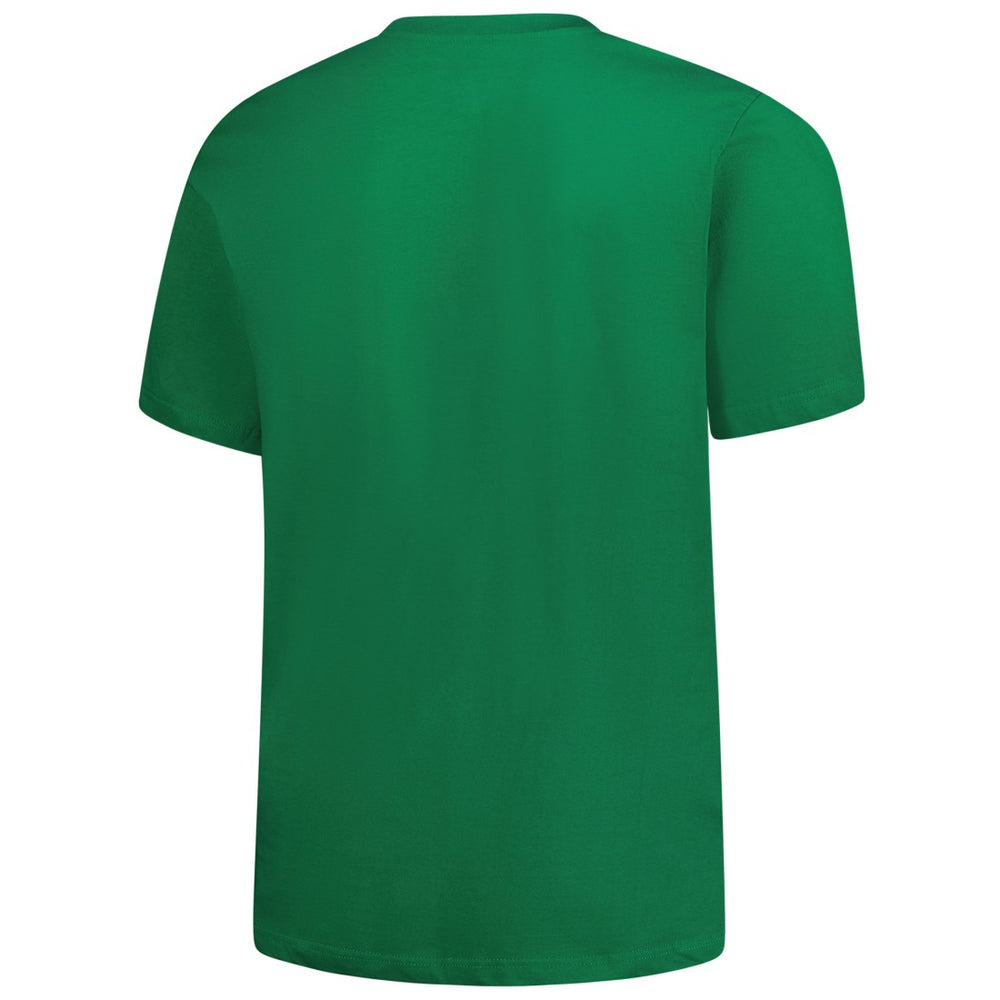 Fanatics Detroit Lions Big & Tall Celtic T-Shirt Kelly Green