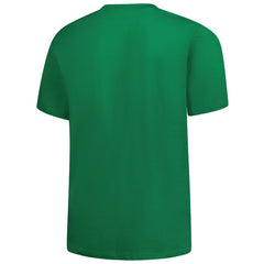 Fanatics Detroit Lions Big & Tall Celtic T-Shirt Kelly Green