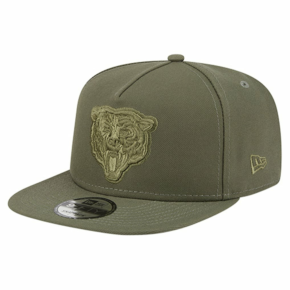 Chicago Bears New Era Youth Color Pack A-Frame 9FIFTY Snapback Hat Olive