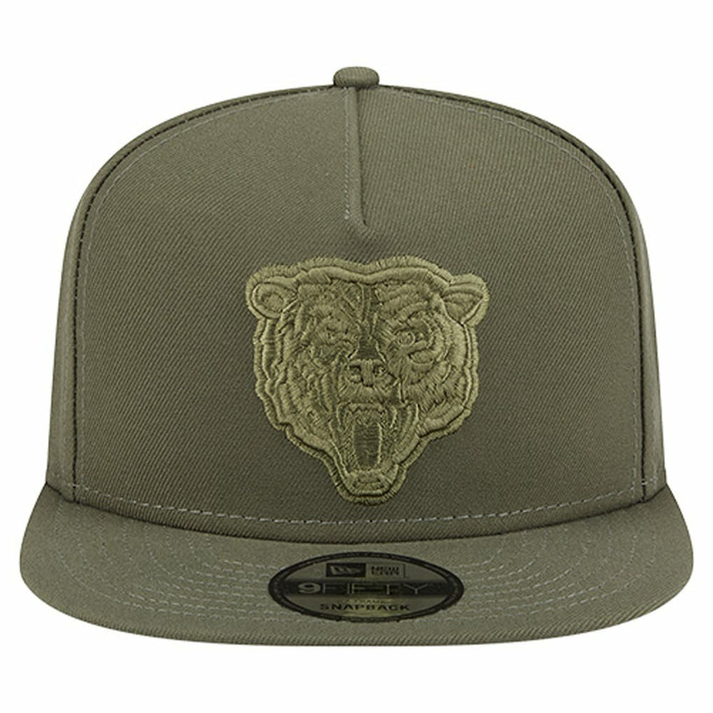 Chicago Bears New Era Youth Color Pack A-Frame 9FIFTY Snapback Hat Olive