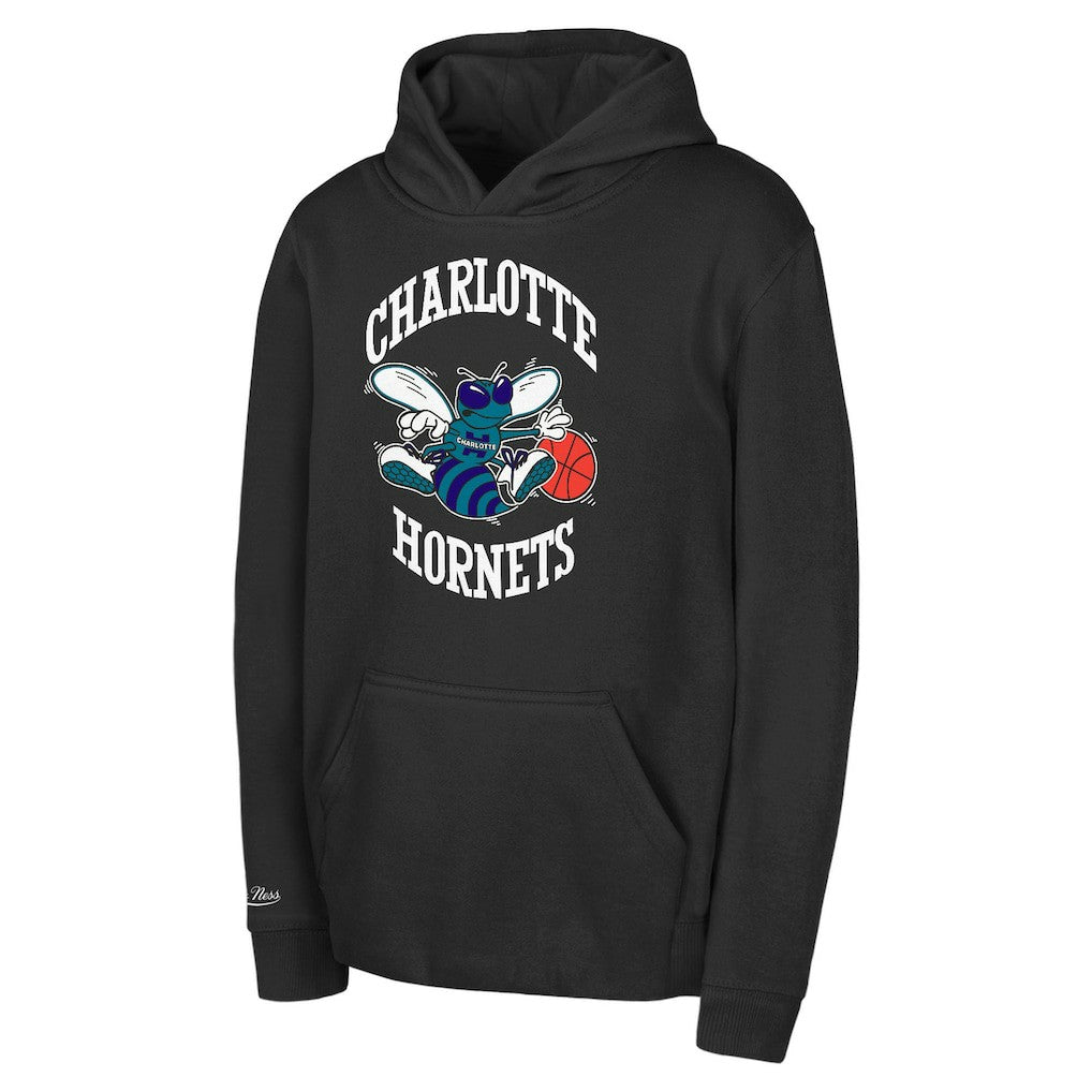 Charlotte Hornets Preschool Retro Logo Pullover Hoodie Black | Mitchell & Ness for sale
