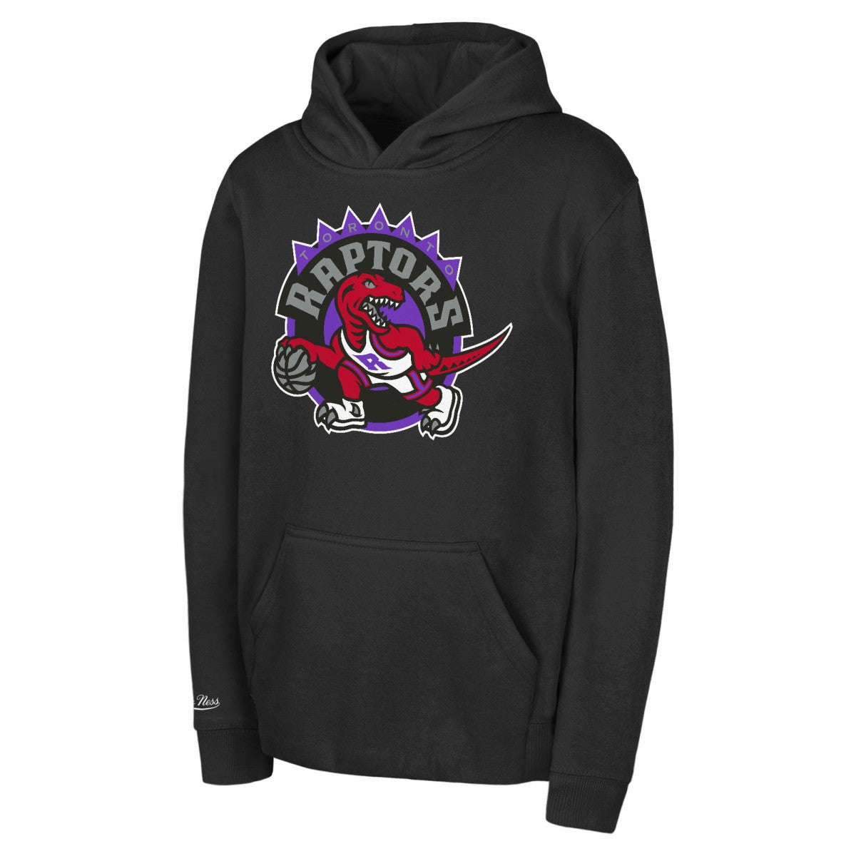 Toronto Raptors Preschool Retro Logo Pullover Hoodie Black | Mitchell & Ness outlet