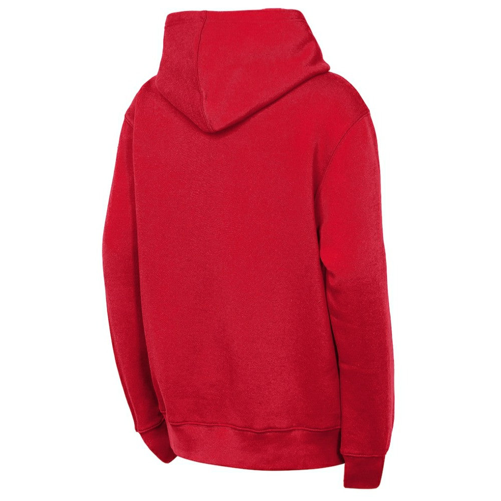 Detroit Red Wings Outerstuff Youth Back to Basics Hoodie - Red - NHL 202900642