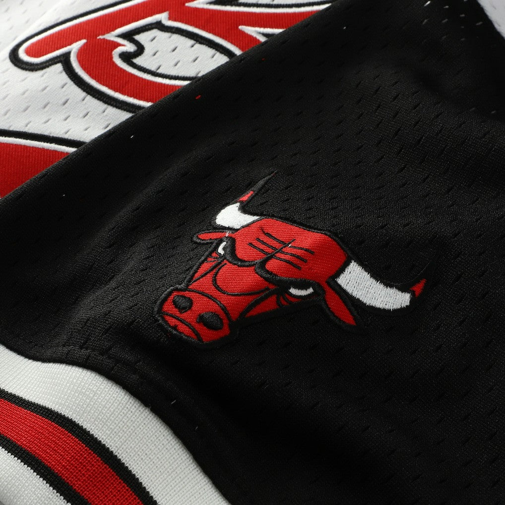 Scottie Pippen Chicago Bulls Player Mesh V-Neck Shirt for sale White | Mitchell & Ness online