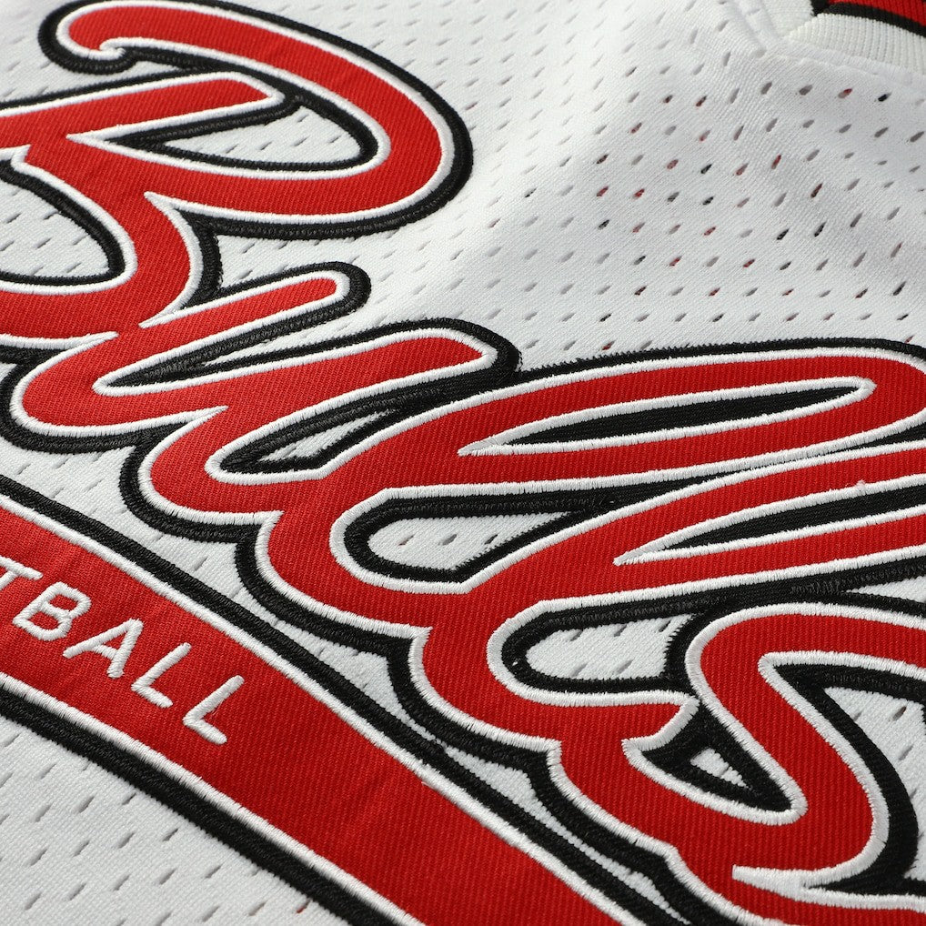 Scottie Pippen Chicago Bulls Player Mesh V-Neck Shirt for sale White | Mitchell & Ness online