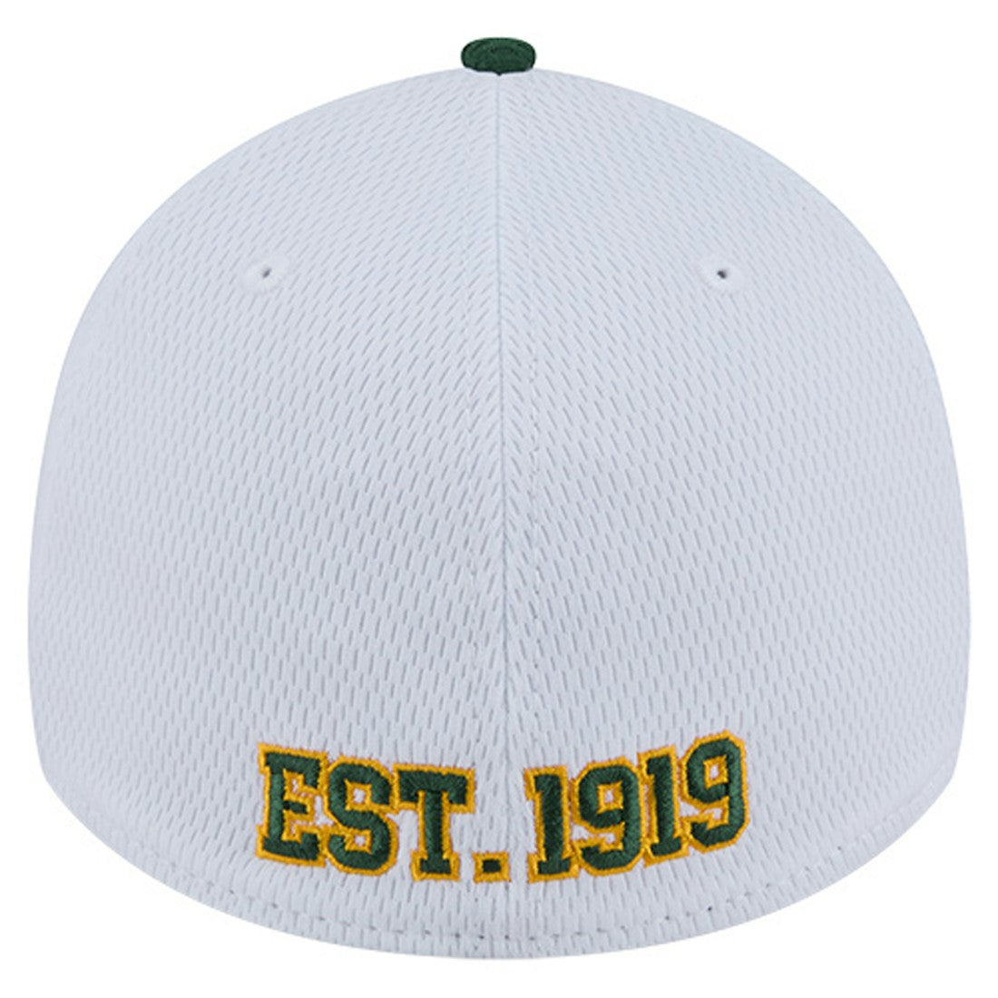 Green Bay Packers New Era Dashmark Rays 39THIRTY Flex Hat White/Green