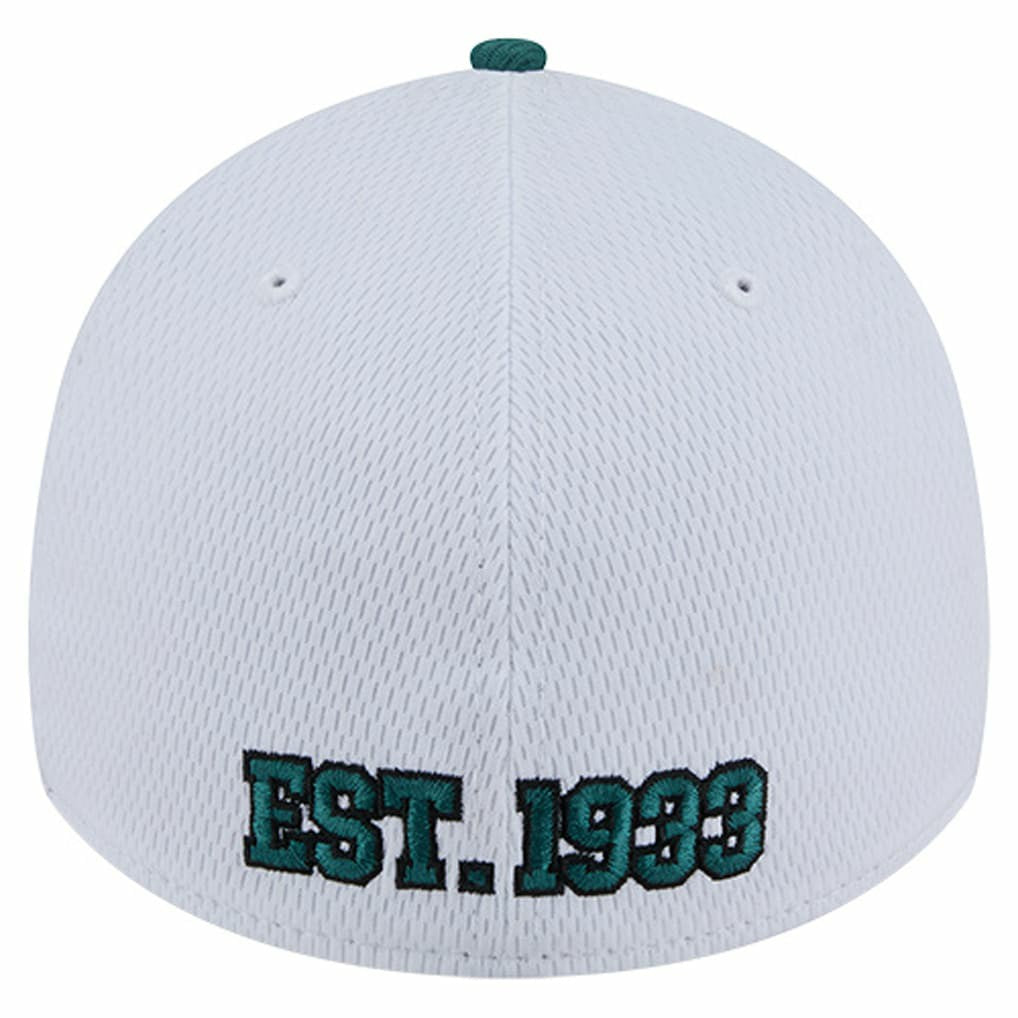 Philadelphia Eagles New Era Dashmark Rays 39THIRTY Flex Hat White/Midnight Green