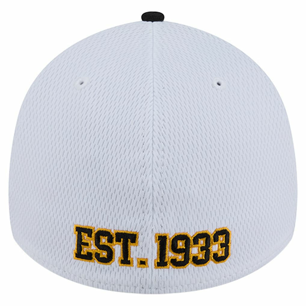 Pittsburgh Steelers New Era Dashmark Rays 39THIRTY Flex Hat White/Black