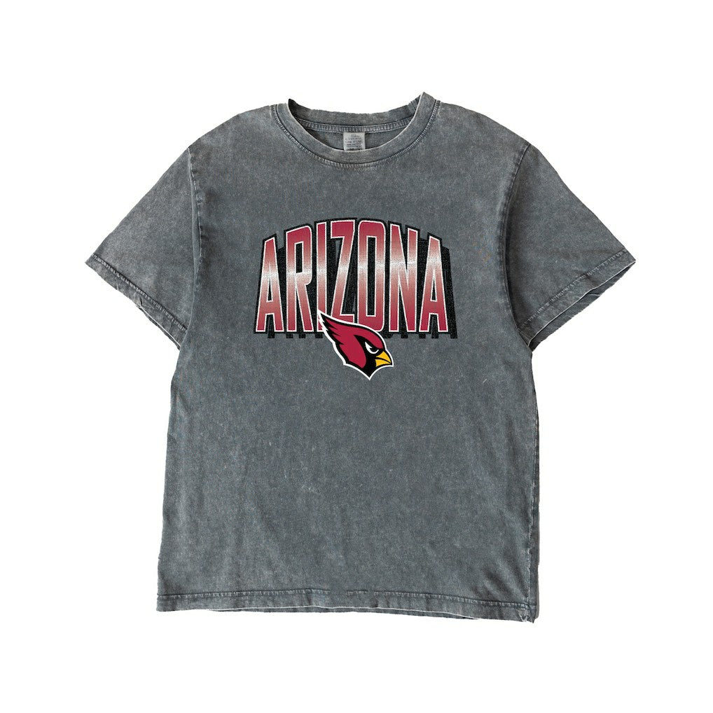 Arizona Cardinals Gameday Couture Women's Peak Performance Oversized Snow Wash T-Shirt Gray