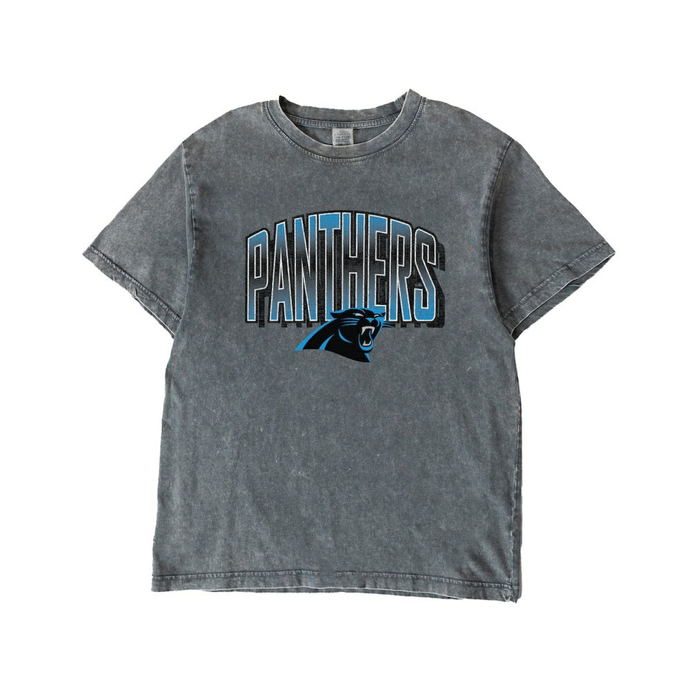 Carolina Panthers Gameday Couture Women's Peak Performance Oversized Snow Wash T-Shirt Gray