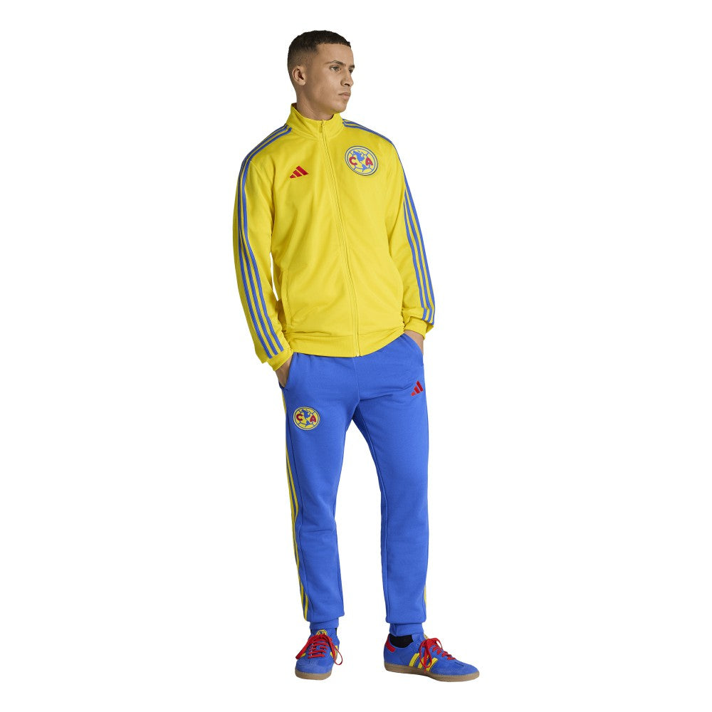 Club America 2025/26 DNA Alphaskin Full-Zip Track Jacket Yellow - Adidas outlet