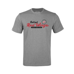 Detroit Red Wings Levelwear Youth Little Richmond Monument T-Shirt - Gray - NHL 203145531