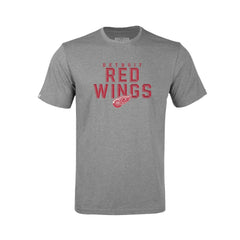 Detroit Red Wings Levelwear Youth Little Richmond Carve T-Shirt - Gray - NHL 203145644