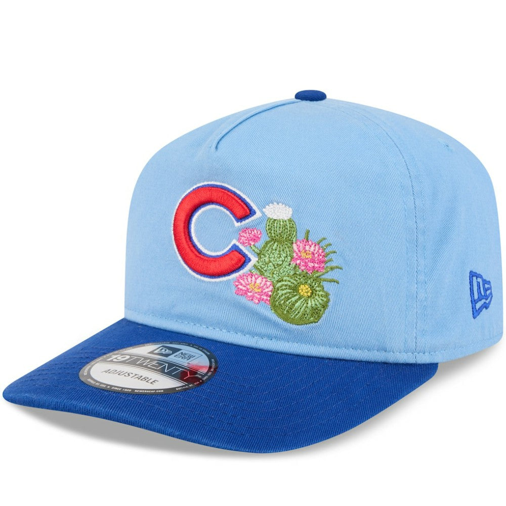 Chicago Cubs New Era 2026 Spring Training 19TWENTY Adjustable Hat - Light Blue/Royal - New Era on Sale